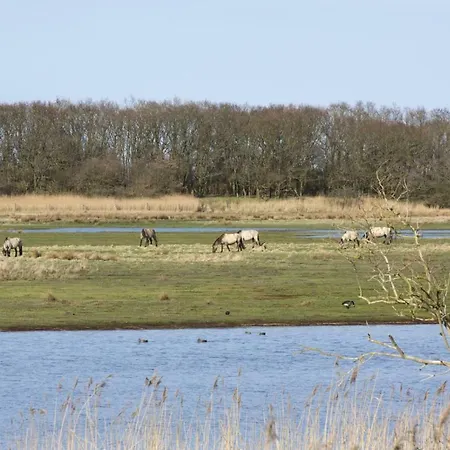 Luxus- Ostseeferienhauser Im Reetdorf Geltinger Birk * Nieby (Nieby, Schleswig-Flensburg)
