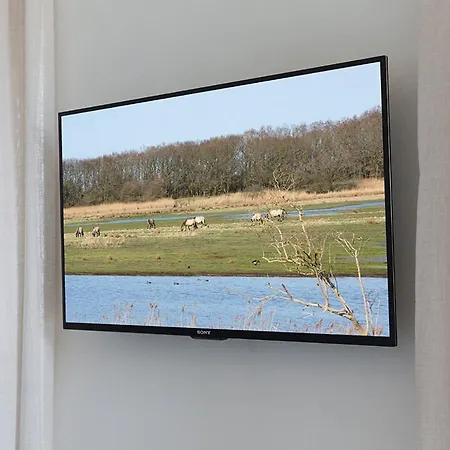 Luxus- Ostseeferienhauser Im Reetdorf Geltinger Birk Casa vacanze